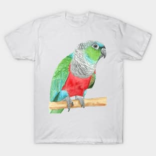 Crimson-bellied parakeet watercolor - conure painting bird portrait T-Shirt